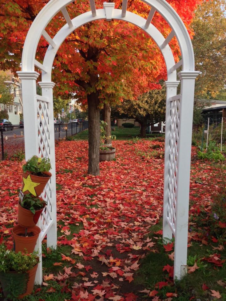 school-arch-in-fall